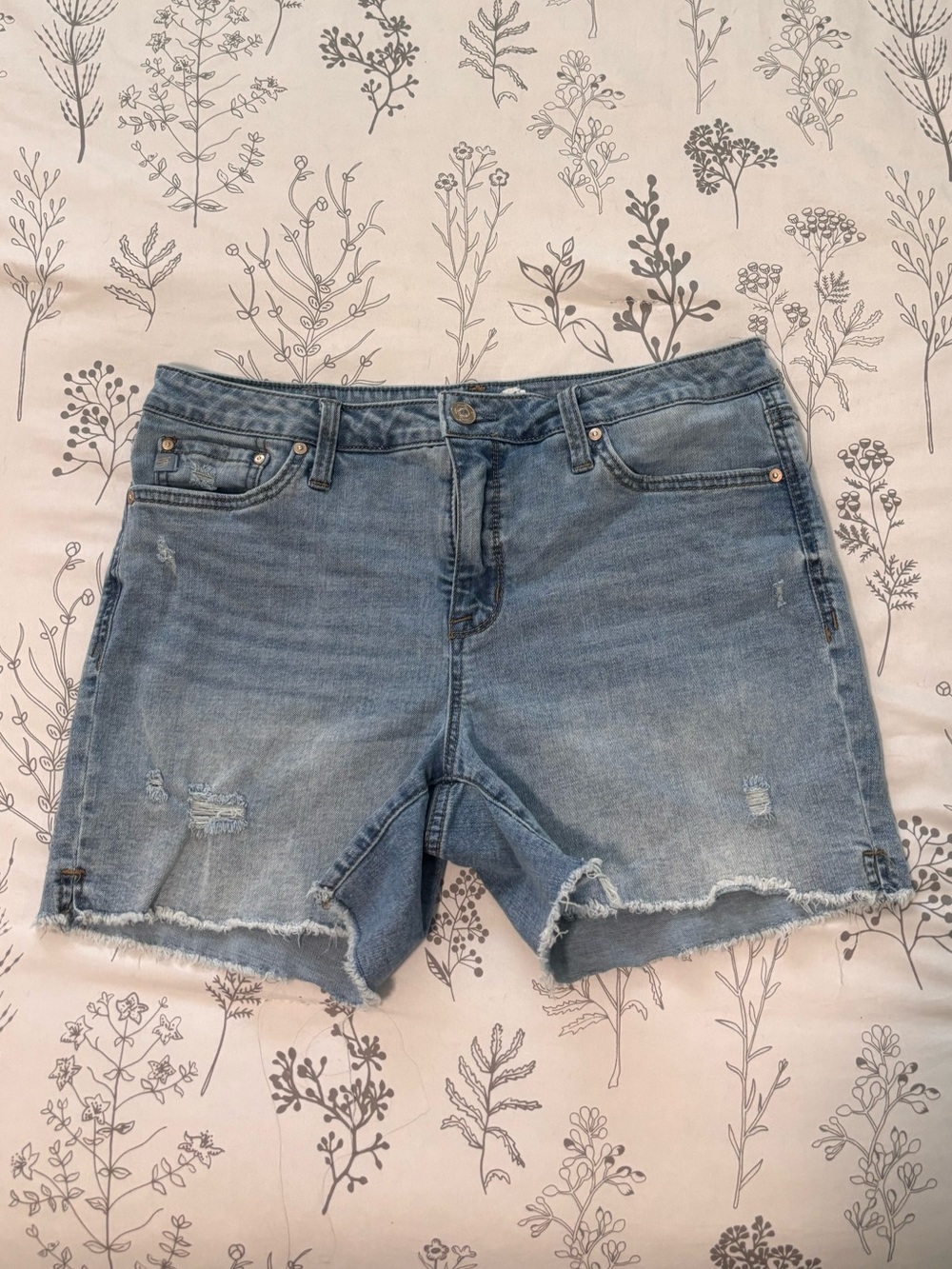 Denim Jean shorts